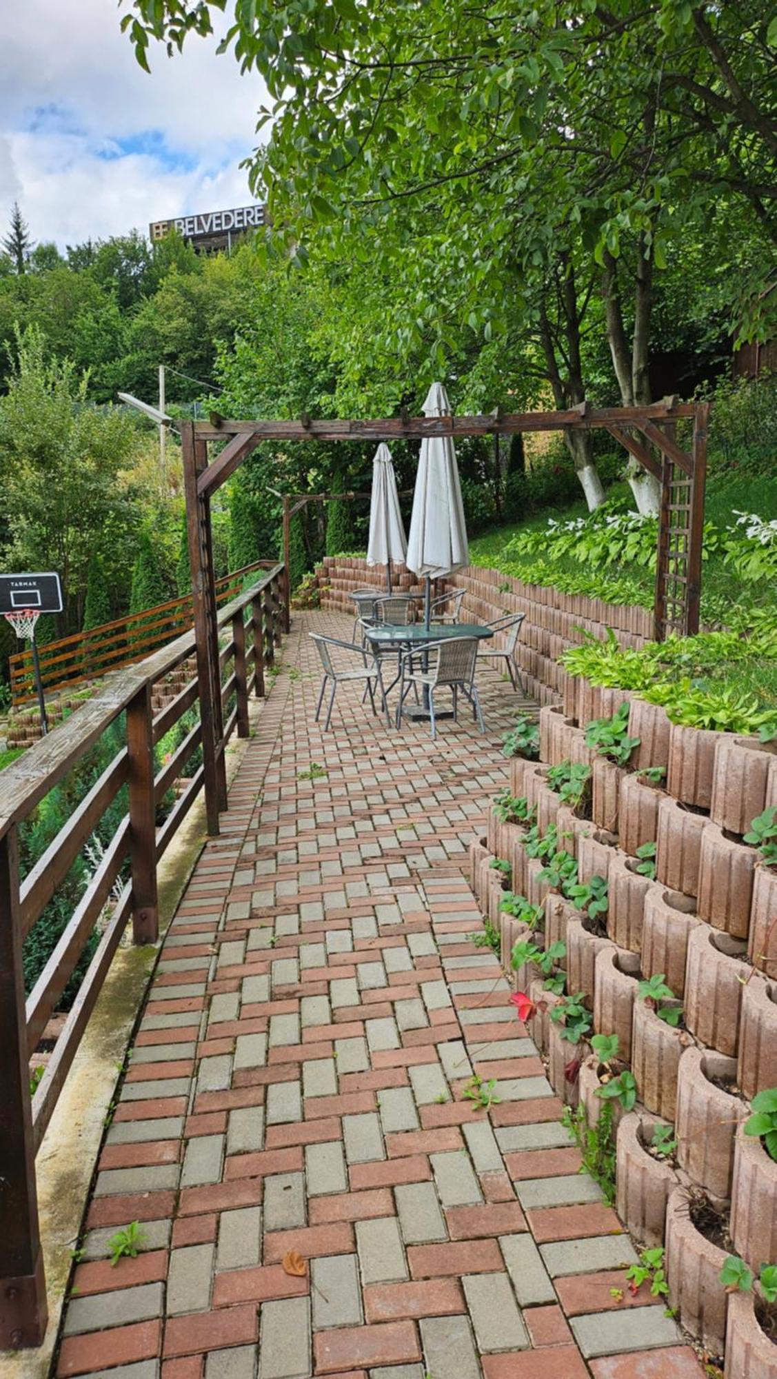 Matei Residence Braşov Exterior foto